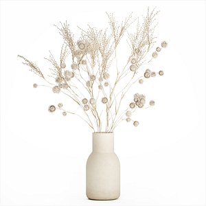 Bouquet of dried flowers from white branches of thistle 546 model
