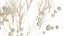 Bouquet of dried flowers from white branches of thistle 546