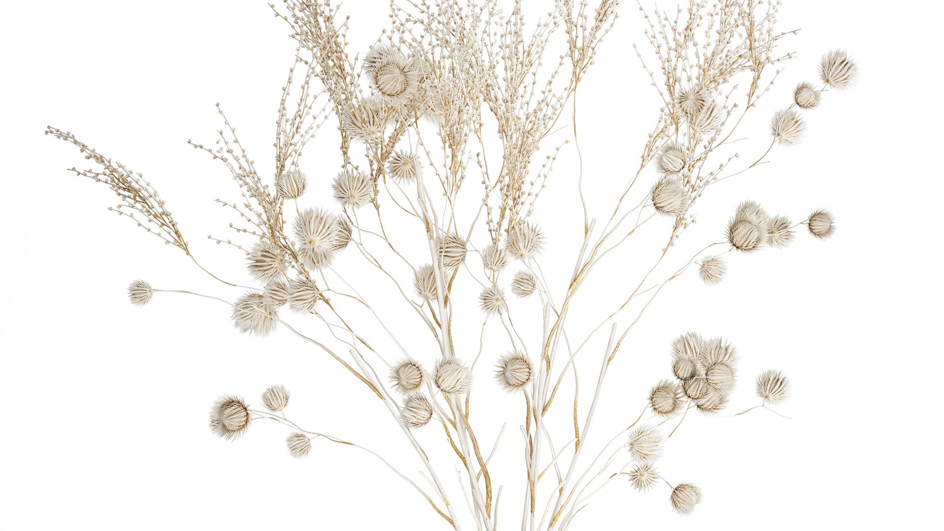 Bouquet of dried flowers from white branches of thistle 546 model https://p.turbosquid.com/ts-thumb/bn/OmQH0q/ZS/1bouquetwhite050405/jpg/1745243883/1920x1080/fit_q87/87d80f69f88b27cfecfc897ca942c851df914dc8/1bouquetwhite050405.jpg