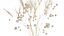 Bouquet of dried flowers from white branches of thistle 546