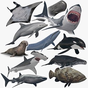 8K Marine Pack - fully animated 3D model