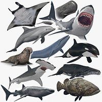 8K Marine Pack - fully animated