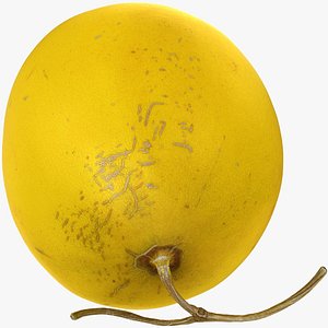 GoldenCantaloupe model