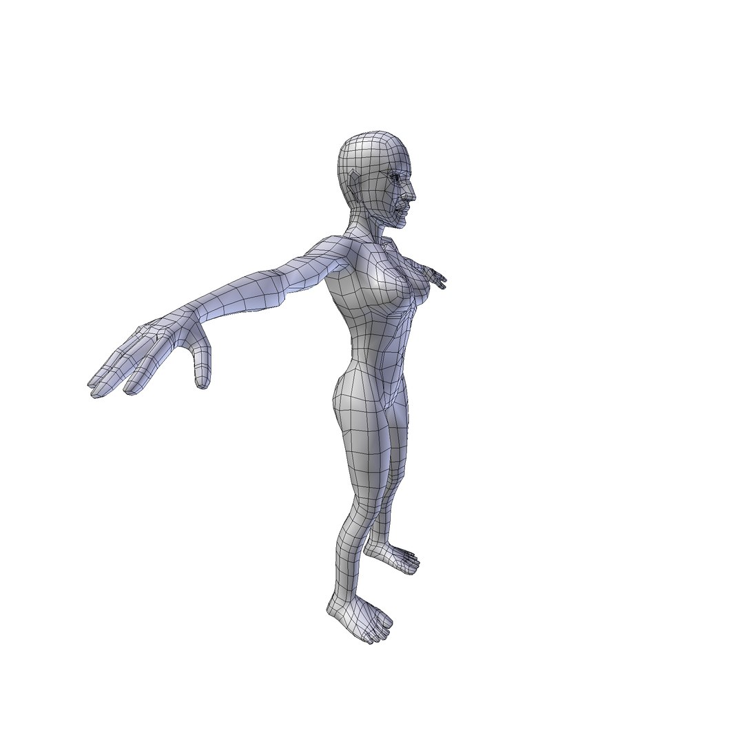 Woman 1 36m basemesh model https://p.turbosquid.com/ts-thumb/bn/dKNtgY/xw/woman1.36wire0004/png/1730239314/1920x1080/fit_q87/206b6f338ebc23fd76e0e820b11df3331481c4c5/woman1.36wire0004.jpg
