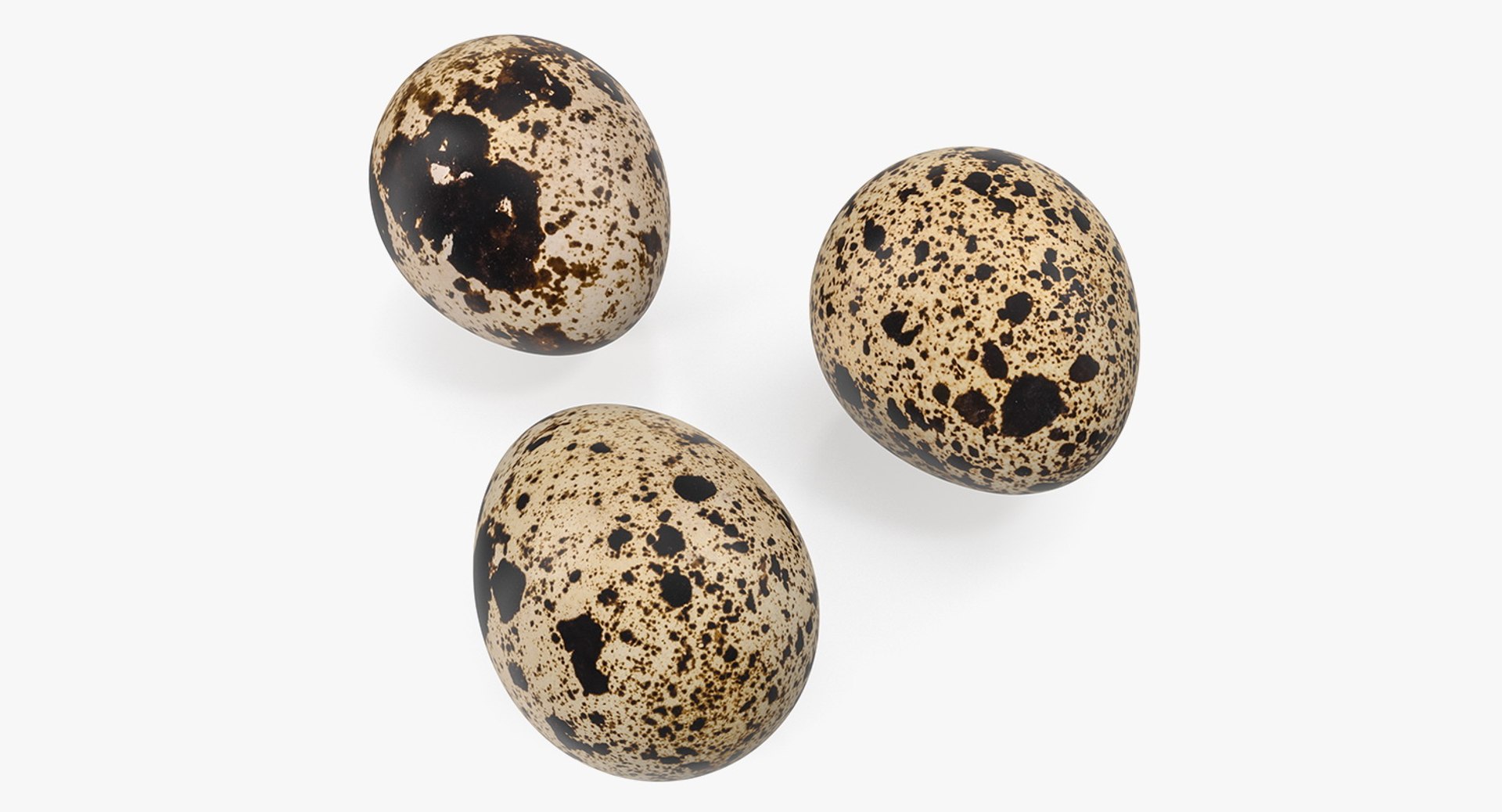 Quail Eggs 3D Models 3D model preview