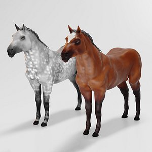 stallion horses 3D model