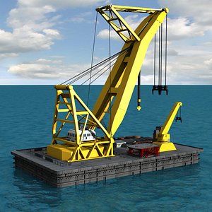 Asian Hercules Sea Crane