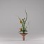 Ikebana 001