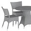 Amari Side chair and Amari Fully Woven table