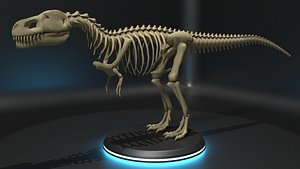 tyrannosaurus skeleton - model
