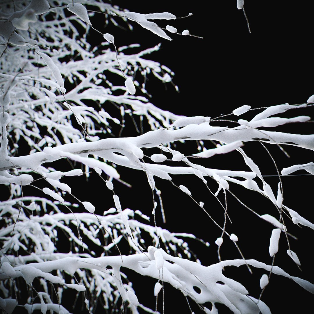 3D BIRCH Winter v01   11-12m model https://p.turbosquid.com/ts-thumb/bo/YPtq0X/H1/birchwinter_02/jpg/1633447816/1920x1080/fit_q87/021214c3e9cf1166c1bd3406521ab4fe630cb069/birchwinter_02.jpg
