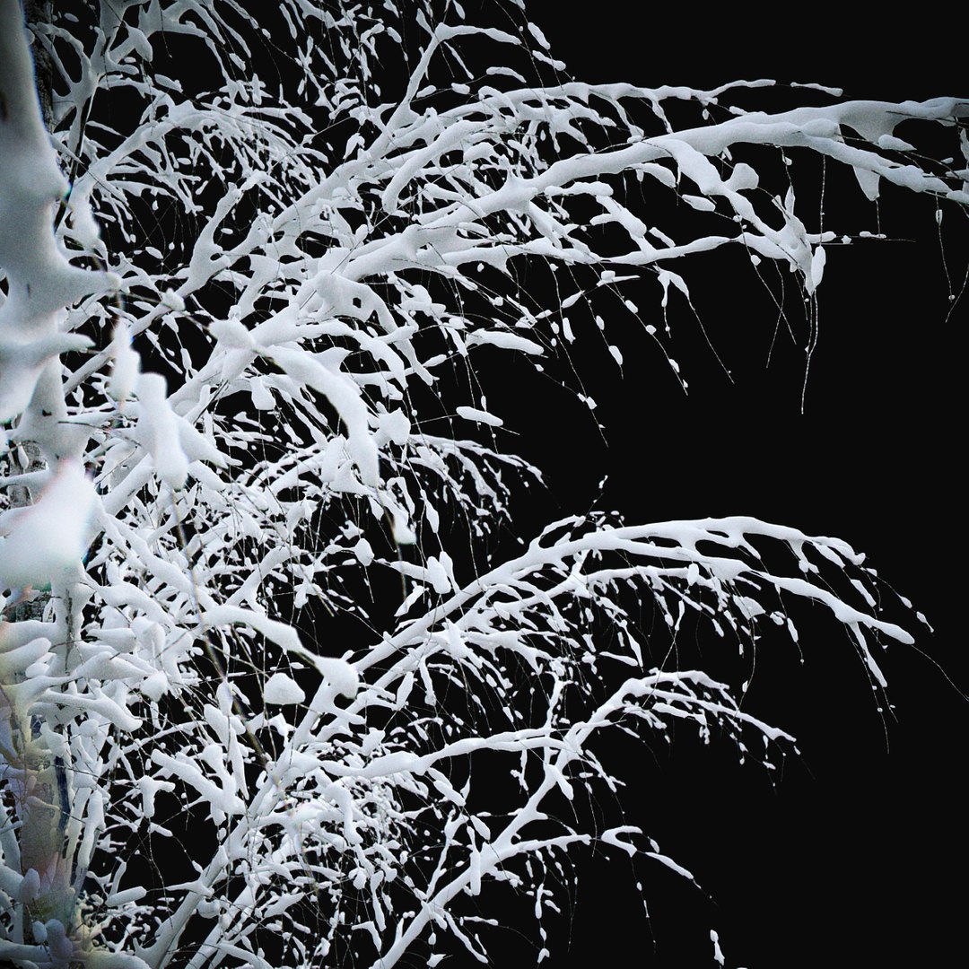 3D BIRCH Winter v01   11-12m model https://p.turbosquid.com/ts-thumb/bo/YPtq0X/JN/birchwinter_04a/jpg/1633447625/1920x1080/fit_q87/96a5a989f0ed804ecc50c56eb10494412d312388/birchwinter_04a.jpg