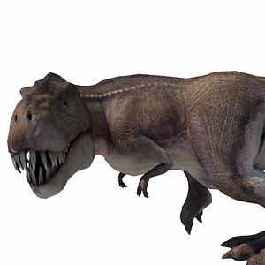 Realistic Tyranasaurus rex