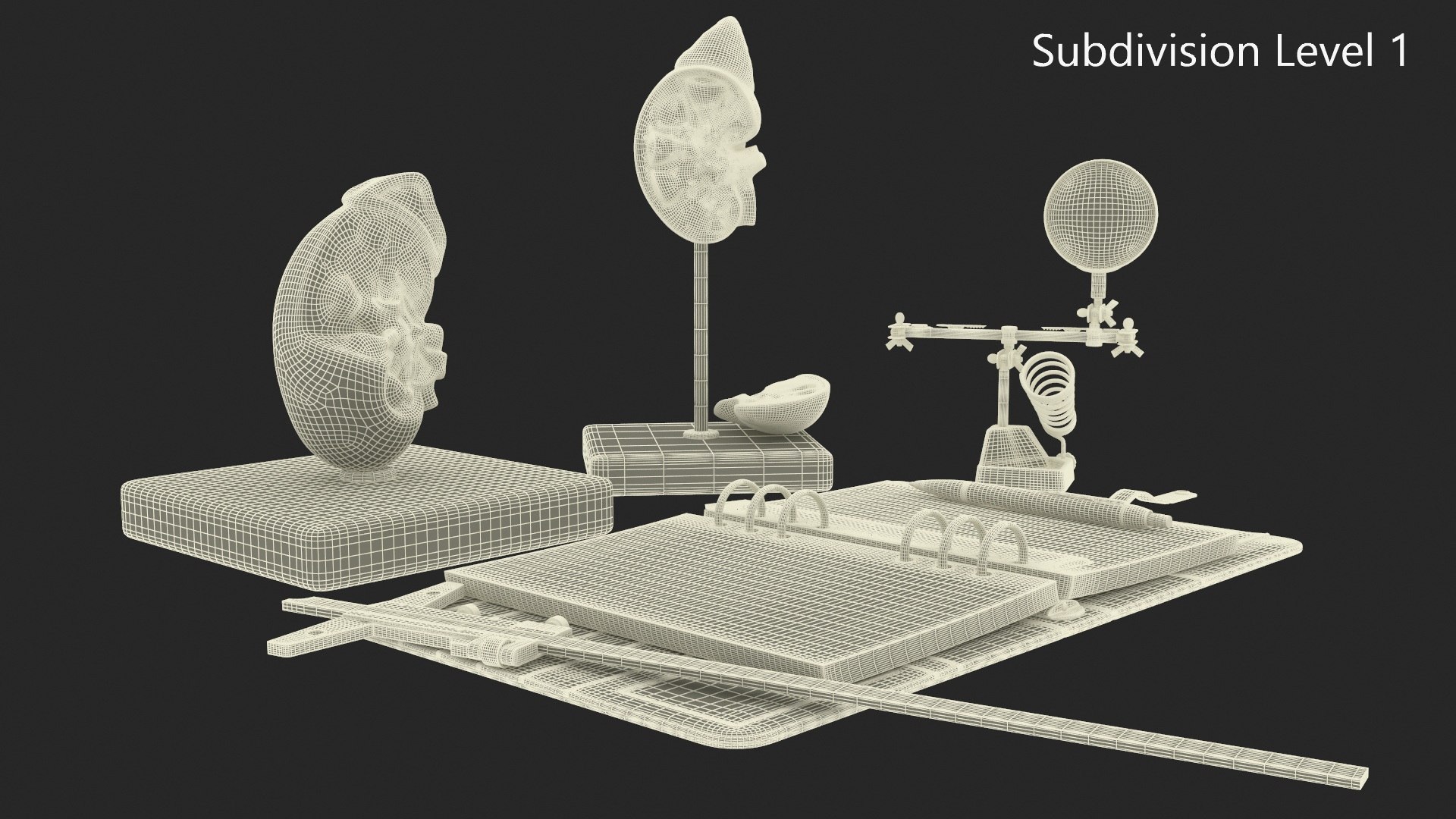 Anatomical Model Study With Measurement Instruments 3D - TurboSquid 2385130