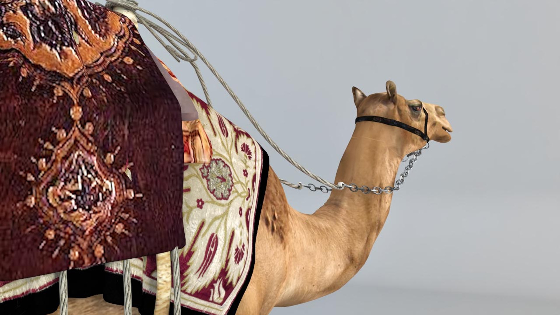 3D camel https://p.turbosquid.com/ts-thumb/bo/oGLvMq/LAeEyuLe/09/jpg/1573889675/1920x1080/fit_q87/b20469547ccab7d9e47890d4fa4adc0274137f5a/09.jpg
