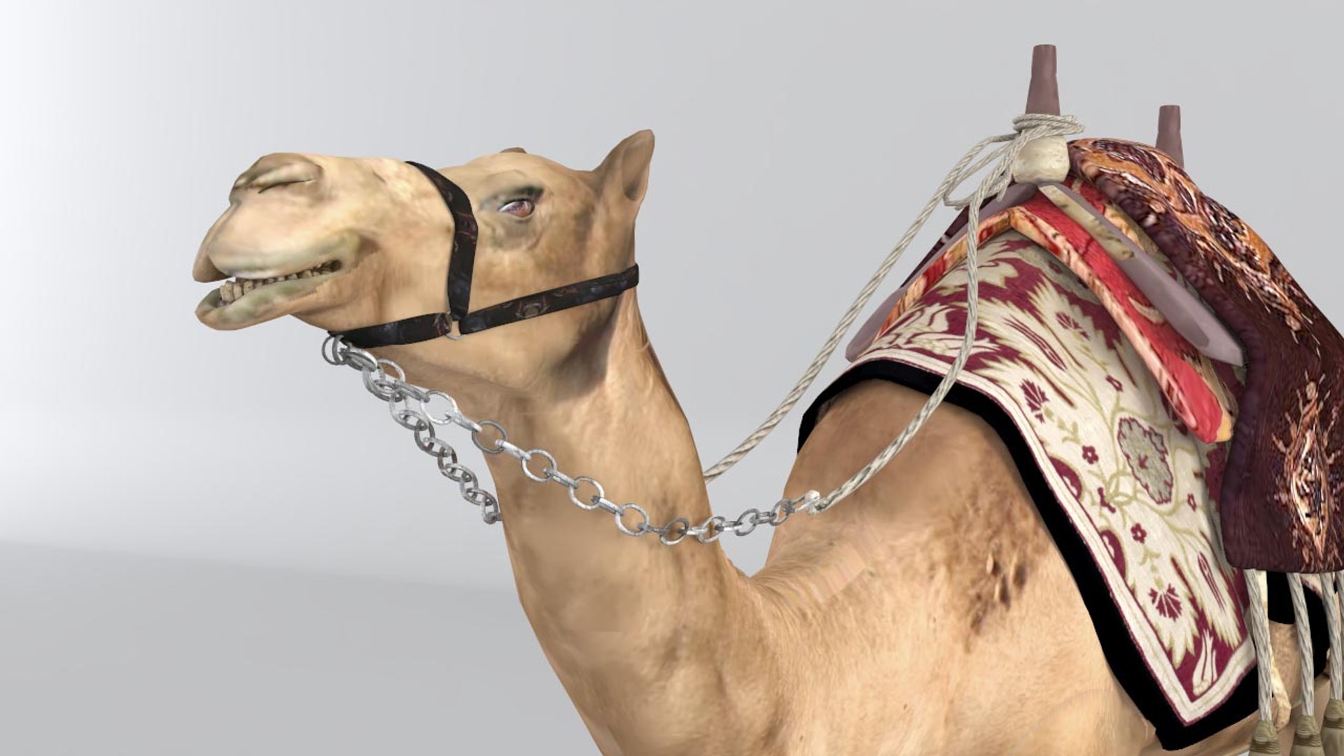 3D camel https://p.turbosquid.com/ts-thumb/bo/oGLvMq/OdYJiHqc/10/jpg/1573889676/1920x1080/fit_q87/8e487b9f3e2775a694a7cdd2633ee38a94c8e0fe/10.jpg