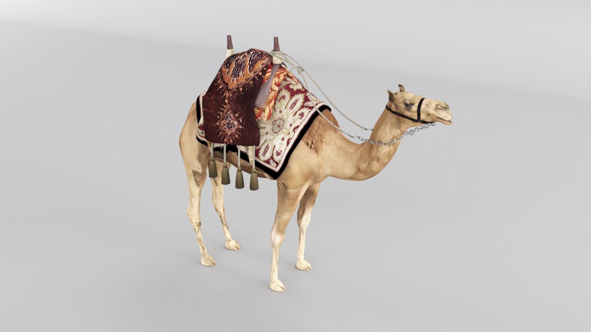 3D camel https://p.turbosquid.com/ts-thumb/bo/oGLvMq/TBJrtZ7j/06/jpg/1573889675/1920x1080/fit_q87/a48297a158e0fea282e32bf668092be8c0e21e31/06.jpg