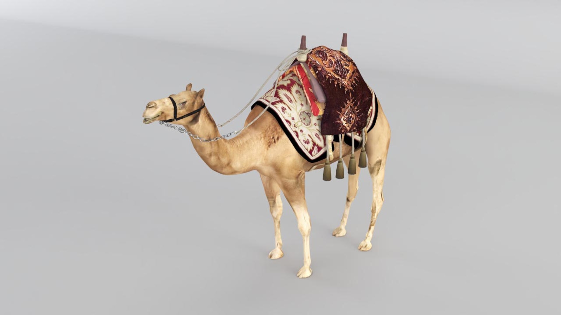 3D camel https://p.turbosquid.com/ts-thumb/bo/oGLvMq/ZKmVToBk/07/jpg/1573889675/1920x1080/fit_q87/71bbcf9fcc32d767c6de59da4970c63079901c62/07.jpg