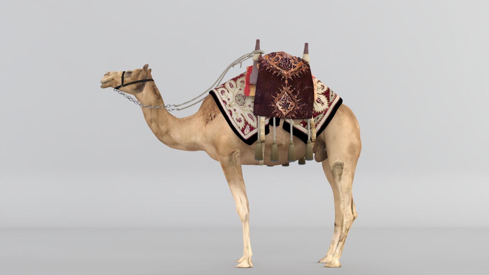 3D camel https://p.turbosquid.com/ts-thumb/bo/oGLvMq/jtdz5lo6/04/jpg/1573889675/1920x1080/fit_q87/23d3c85a7071d9eefb998185cf62bb8da7d77002/04.jpg