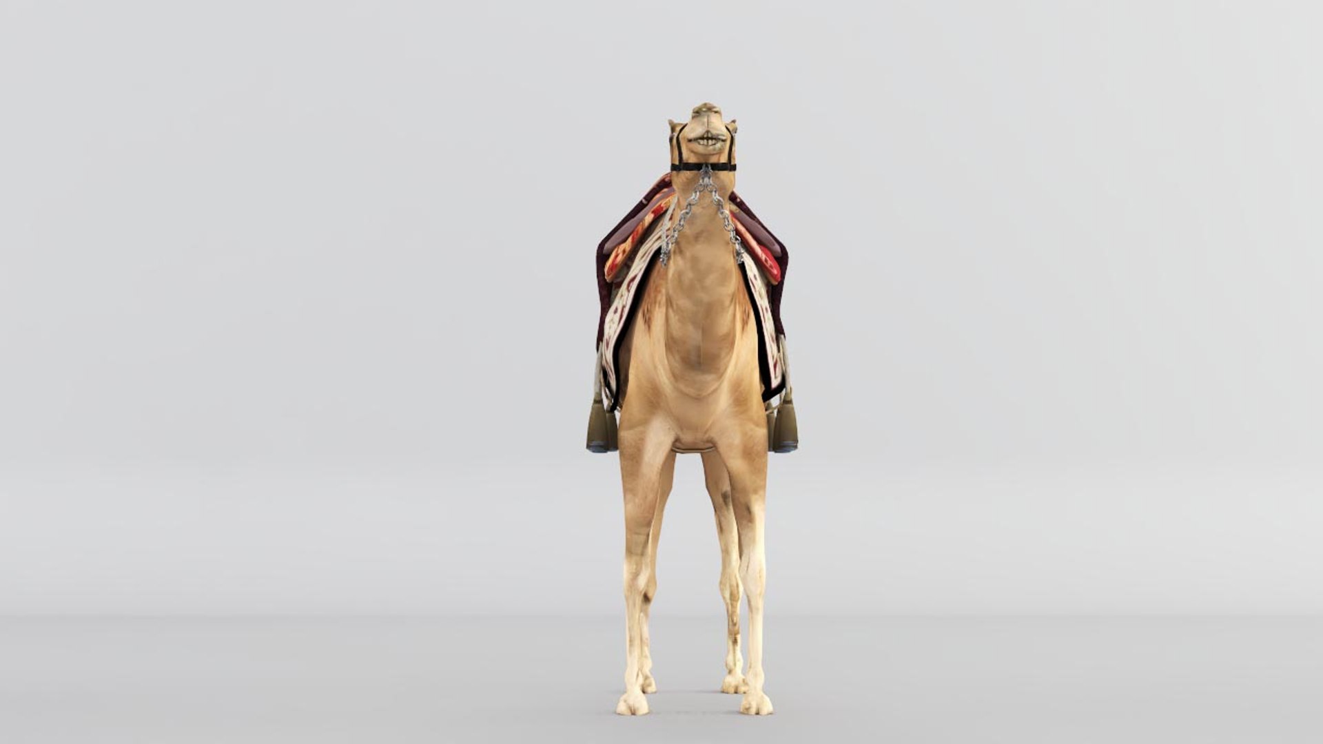 3D camel https://p.turbosquid.com/ts-thumb/bo/oGLvMq/wnPNeTb8/03/jpg/1573889675/1920x1080/fit_q87/fba28f8927f57b7fb79460177b55224408332445/03.jpg