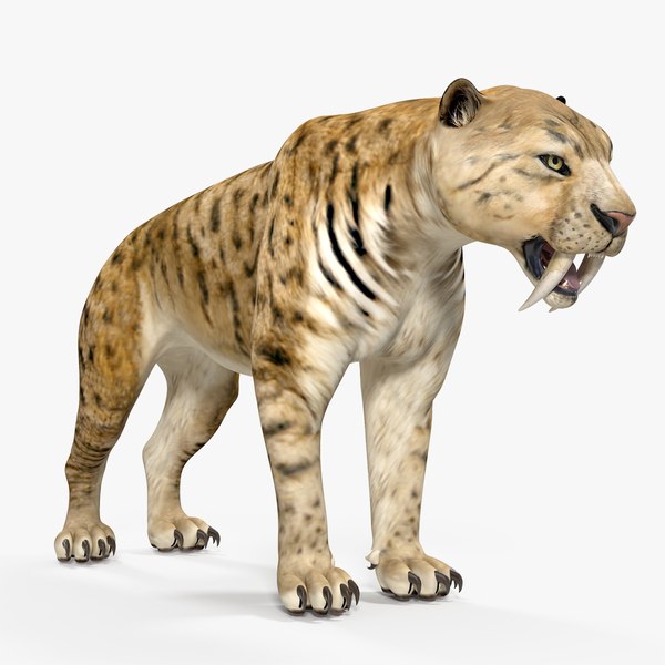 Tigre Dentes de Sabre - Sem Pintura, Miniatura 3D Grande Para Rpg