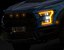 Ford F-150 Raptor 2017 (Niedriger Innenraum)