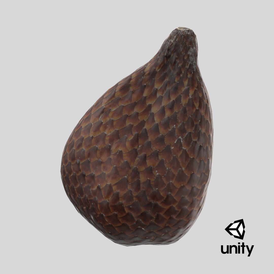 Salak Snake fruit 3D https://p.turbosquid.com/ts-thumb/bp/4tHAxs/3b/stemcell_unity_render/png/1737484584/1920x1080/fit_q87/a38a196f1c6671c0f86ed302df8ab81ab48a88f4/stemcell_unity_render.jpg