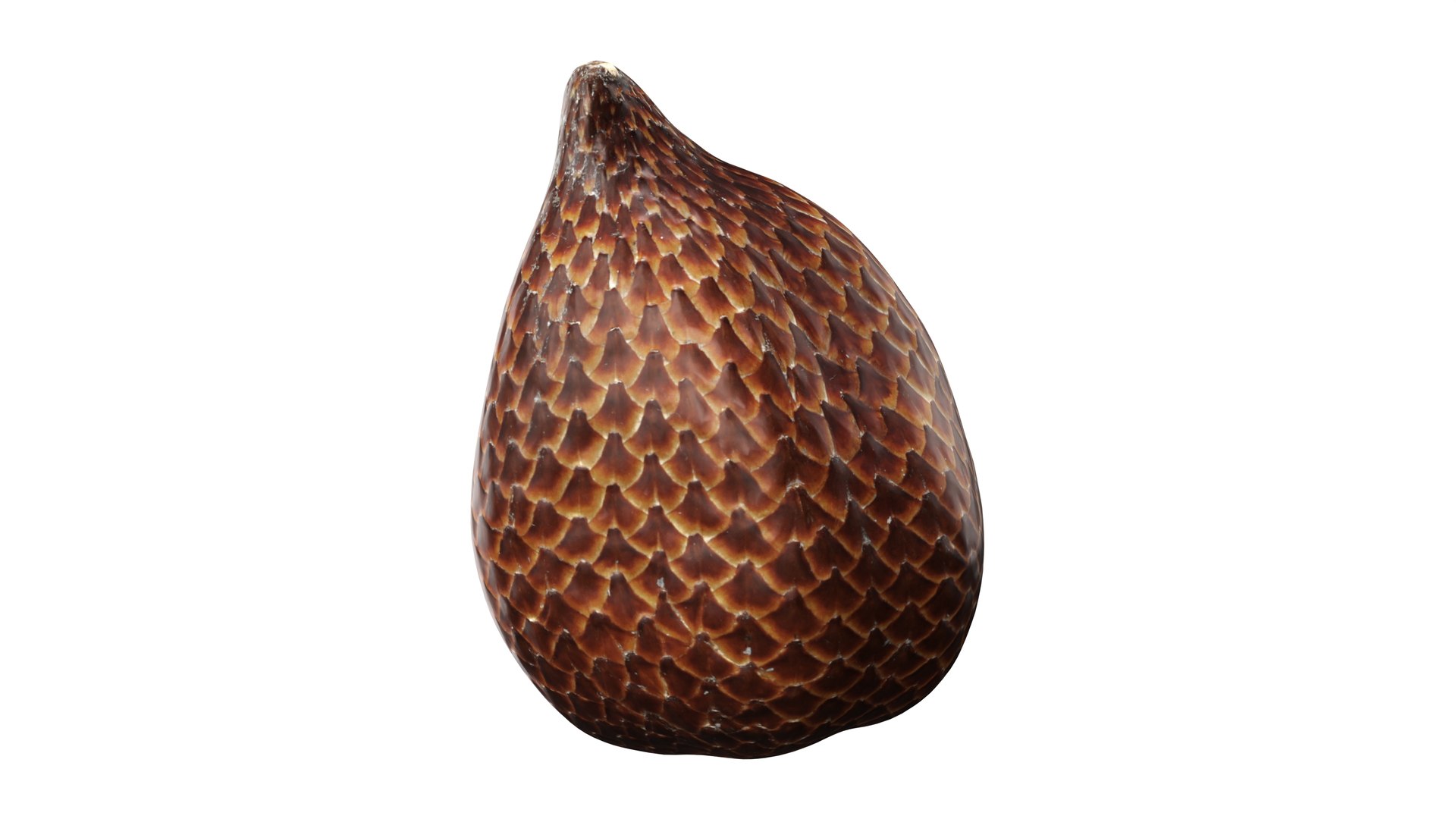 Salak Snake fruit 3D https://p.turbosquid.com/ts-thumb/bp/4tHAxs/6v/003/jpg/1736758665/1920x1080/fit_q87/4daa3dffdd54cf152ce41f3b1b550f90a523d89c/003.jpg