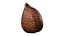 Salak Snake fruit 3D