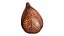 Salak Snake fruit 3D