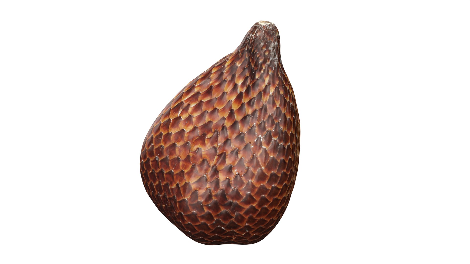 Salak Snake fruit 3D https://p.turbosquid.com/ts-thumb/bp/4tHAxs/Dc/002/jpg/1736758662/1920x1080/fit_q87/8e24448a902cbdc7bec45d42e48d4a1e7c28dcc9/002.jpg