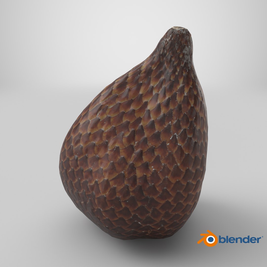 Salak Snake fruit 3D https://p.turbosquid.com/ts-thumb/bp/4tHAxs/NV/stemcell_blender_cycles_render/png/1737484571/1920x1080/fit_q87/3fa9f0b32fd0789a36c50d124559a77b2e9c5623/stemcell_blender_cycles_render.jpg