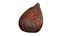 Salak Snake fruit 3D
