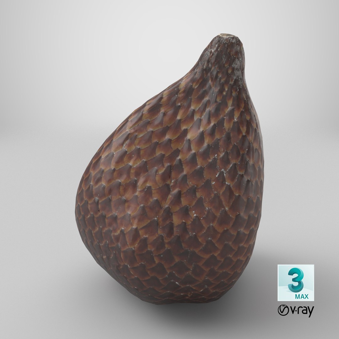 Salak Snake fruit 3D https://p.turbosquid.com/ts-thumb/bp/4tHAxs/r2/stemcell_max_vray_render/png/1737484579/1920x1080/fit_q87/98010b77578a4fbdec130f73ac0e6f8497116e28/stemcell_max_vray_render.jpg