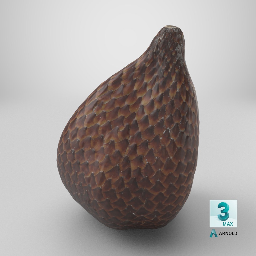 Salak Snake fruit 3D https://p.turbosquid.com/ts-thumb/bp/4tHAxs/vW/stemcell_max_arnold_render/png/1737484581/1920x1080/fit_q87/8b4a830ae45f185f109c0503ace24c507a51478a/stemcell_max_arnold_render.jpg