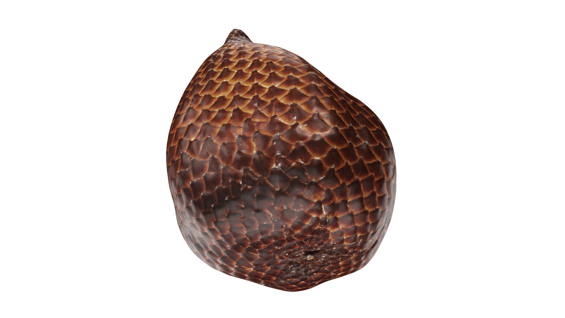 Salak Snake fruit 3D https://p.turbosquid.com/ts-thumb/bp/4tHAxs/vn/004/jpg/1736758666/1920x1080/fit_q87/6ce252f194317f4f9f949ec096c72e794874fa6e/004.jpg