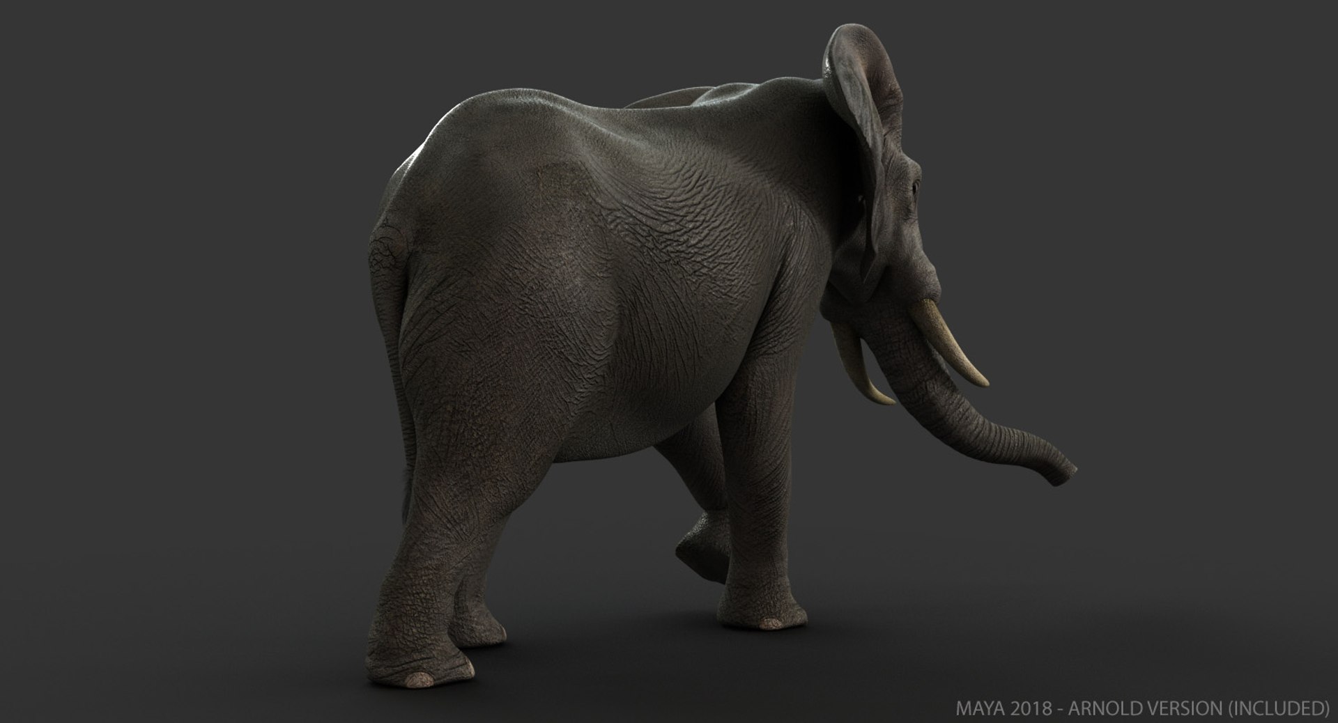 3d photorealistic african elephant rigged model https://p.turbosquid.com/ts-thumb/bp/B62GQ6/A7CHccna/03/jpg/1543142246/1920x1080/fit_q87/18e3318d1edacc5546e0078fbc7c62bb6a2d5f69/03.jpg