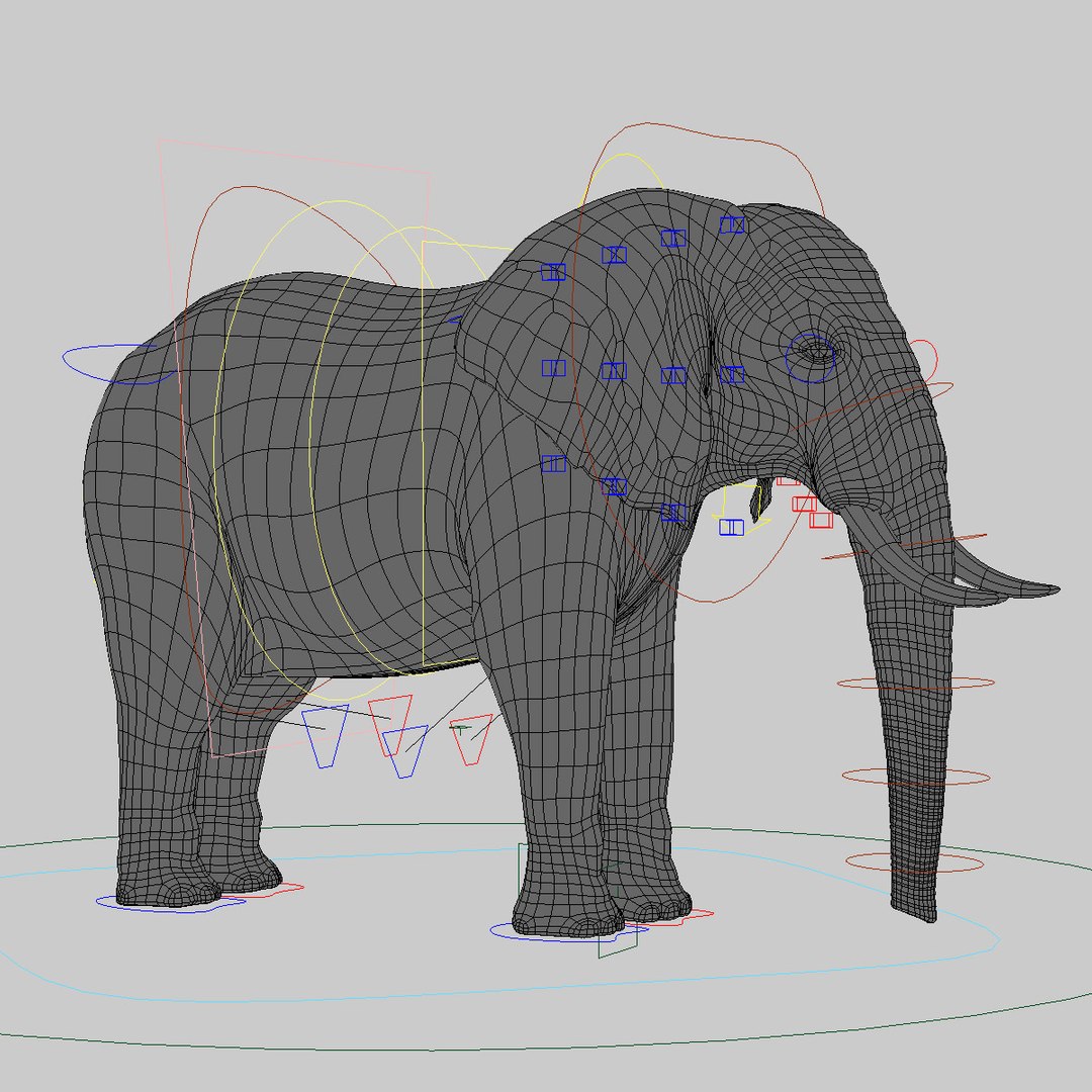 3d photorealistic african elephant rigged model https://p.turbosquid.com/ts-thumb/bp/B62GQ6/NGWT8wVJ/hd6/jpg/1316969998/1920x1080/fit_q87/f273ba9bd85b4bed38367c9fc1e792925d571983/hd6.jpg