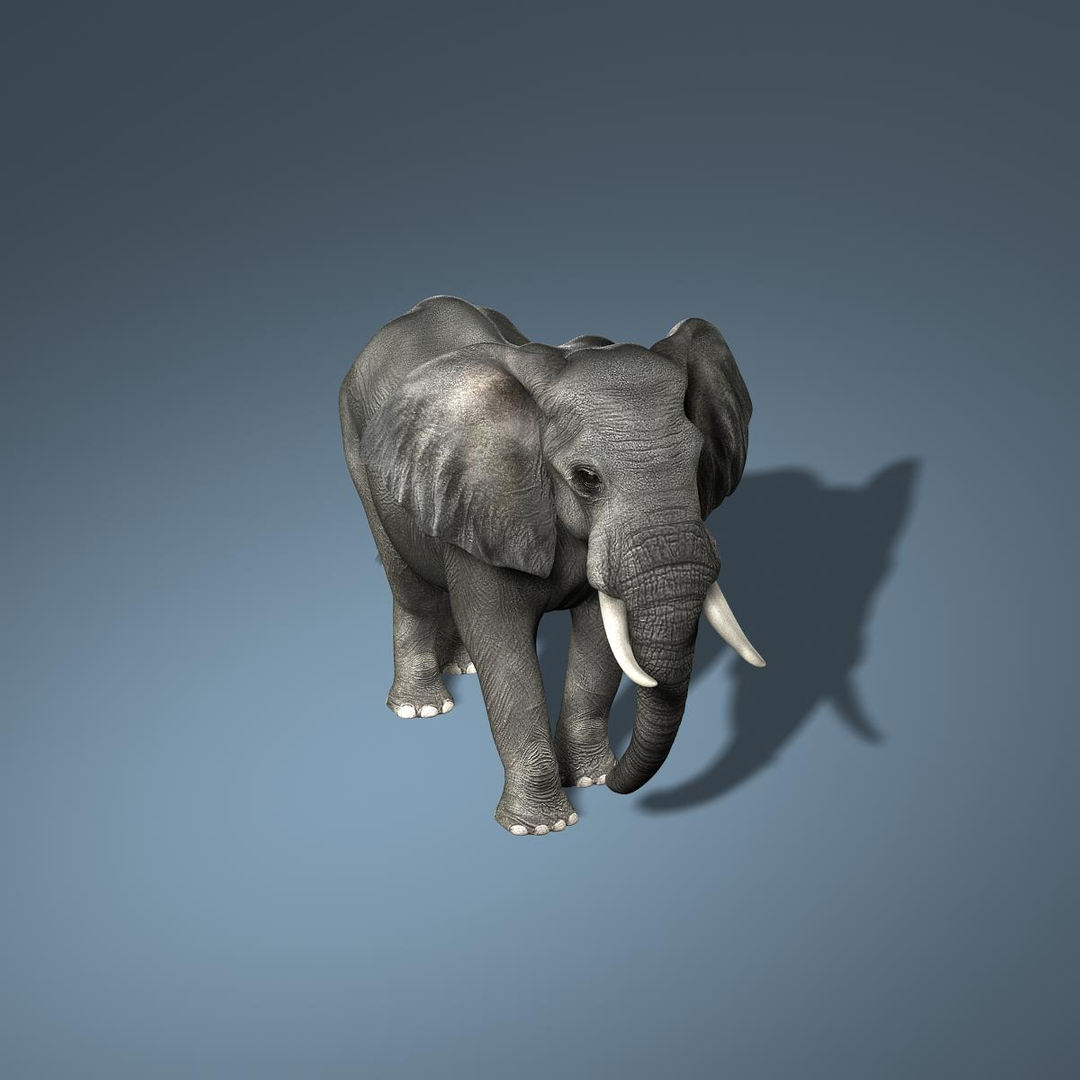 3d photorealistic african elephant rigged model https://p.turbosquid.com/ts-thumb/bp/B62GQ6/NycfHlOf/elephant/jpg/1316970315/1920x1080/turn_fit_q99/7d8ab69b89a6b0b6c9ab394868b9fe07d163a0e0/elephant-1.jpg