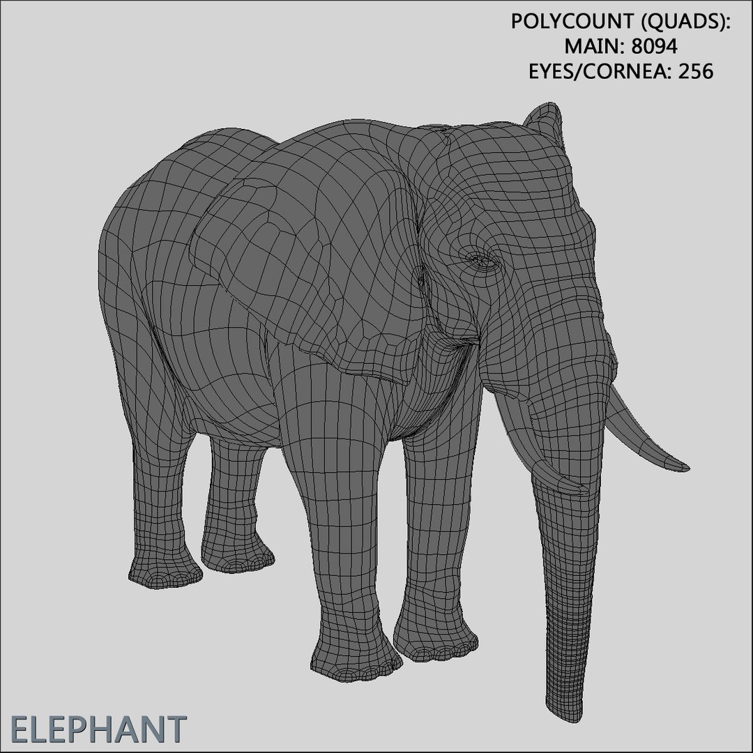 3d photorealistic african elephant rigged model https://p.turbosquid.com/ts-thumb/bp/B62GQ6/lyTVW2iE/hd_new07/jpg/1295774227/1920x1080/fit_q87/be59c73a3011682ecd4d389f5b56c8e89a263063/hd_new07.jpg