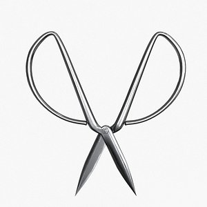 3D Scissors