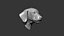 Tête de chiot Highpoly Sculpt