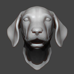 3D Dog Puppy Head Highpoly Sculpt
