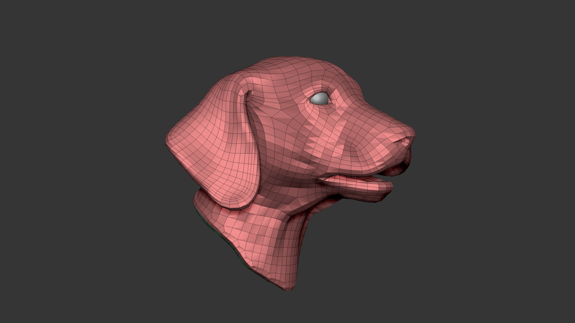 3D Dog Puppy Head Highpoly Sculpt https://p.turbosquid.com/ts-thumb/bp/TmaiHq/zZ/puppy_head_wireframe_01/jpg/1637685957/1920x1080/fit_q87/b1da4e8c36827c59f09920ea8912ed58e257ee99/puppy_head_wireframe_01.jpg