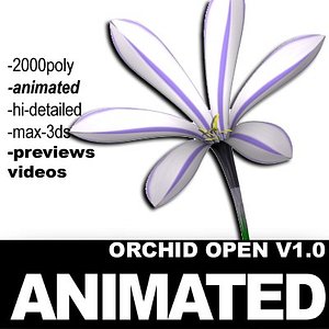 3d model realistic flower animation open