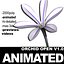 3d model realistic flower animation open