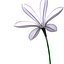 3d model realistic flower animation open
