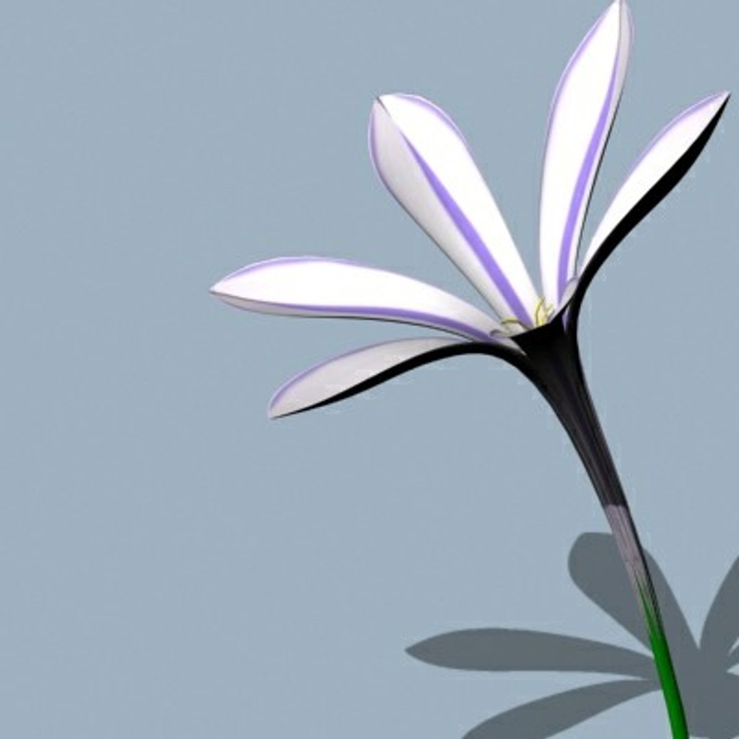 3d Model Realistic Flower Animation Open