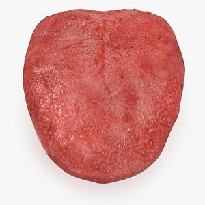 Tongue Rig Maya