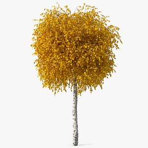 Small Birch Tree Yellow 3D model